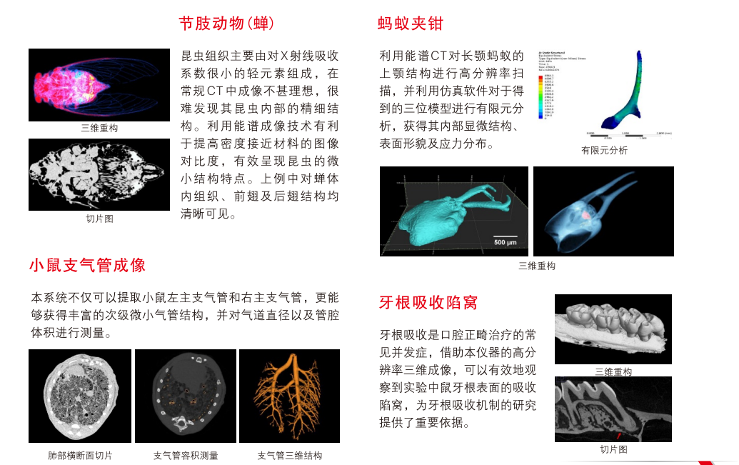 圖片2.png